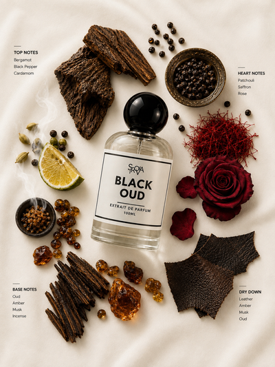 Sirovia Notes Black Oud Intense Oud Perfume