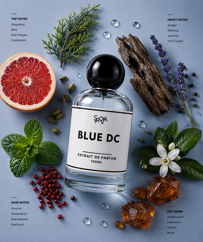 Blue DC Inspired by Bleu de Chanel