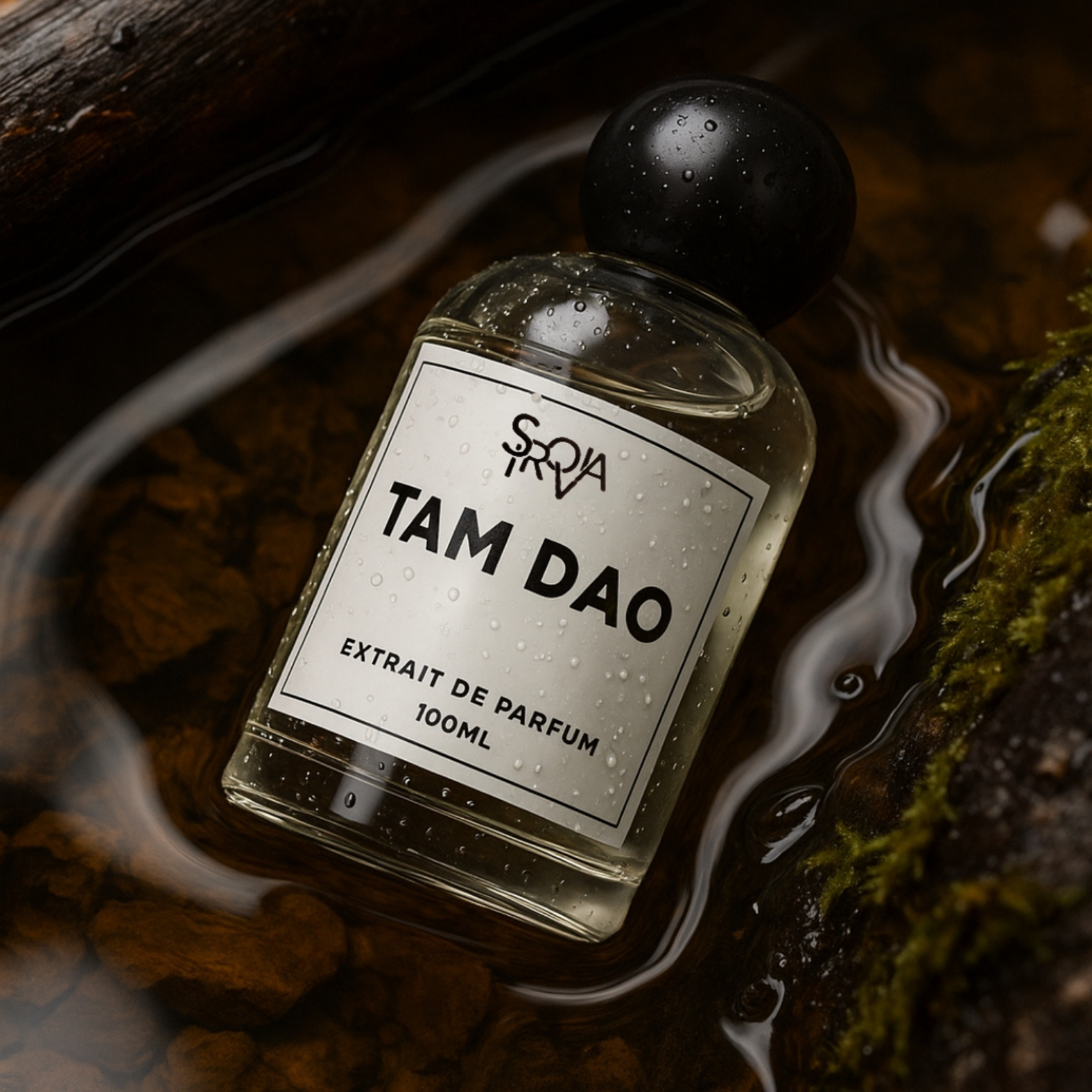 Sirovia Notes Tam Dau Inspired By Dyptiq Tam Dau