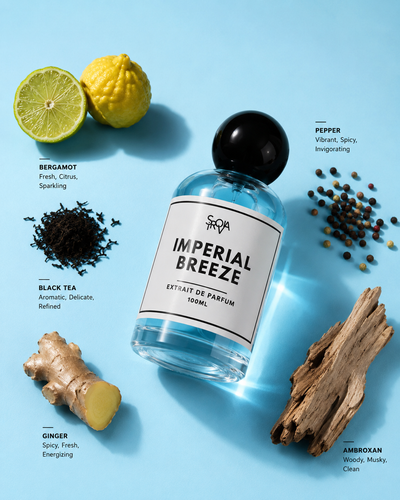 Imperial Breeze Inspired by LV Imagination