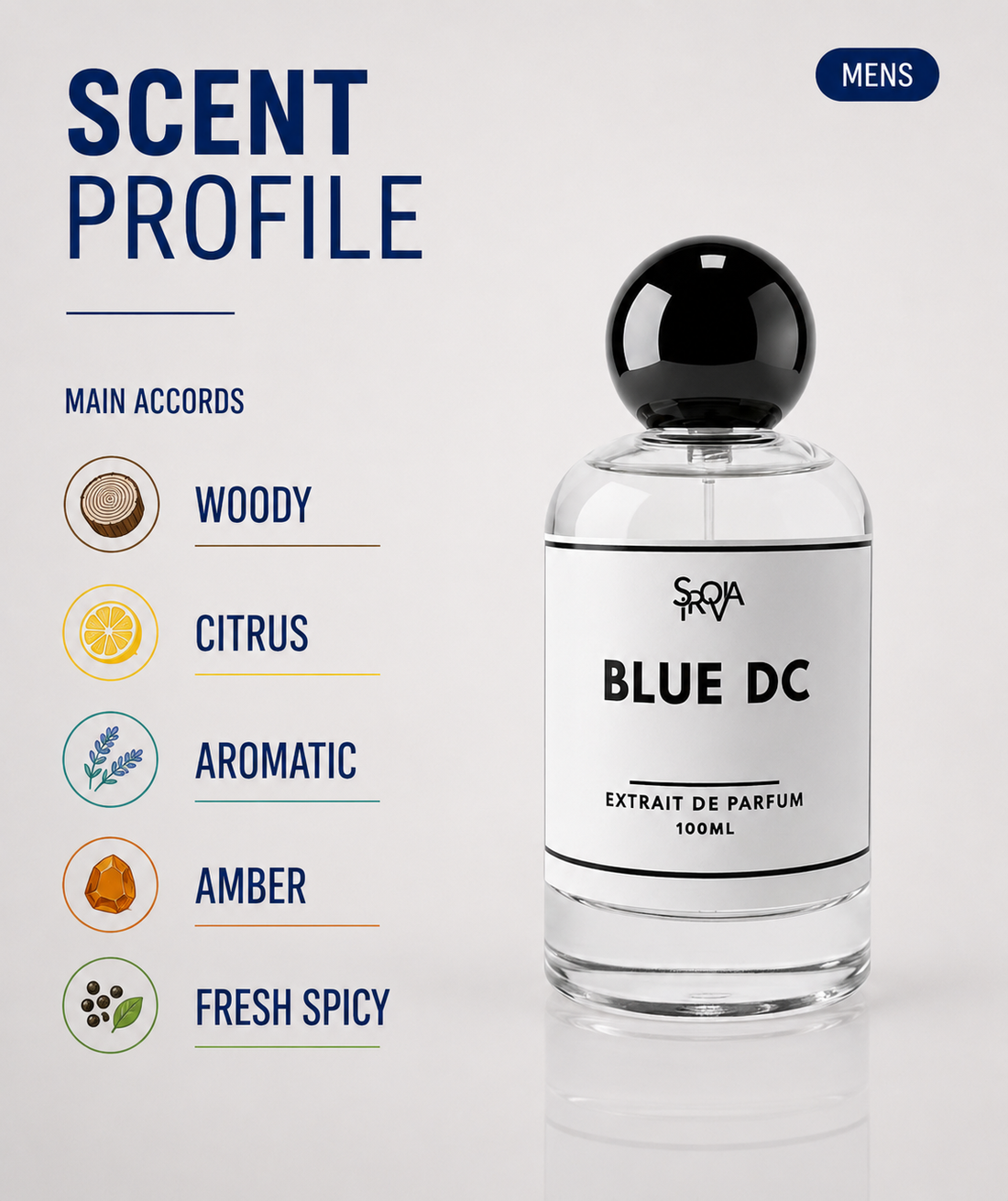 Blue DC  Inspired by Bleu de Chanel