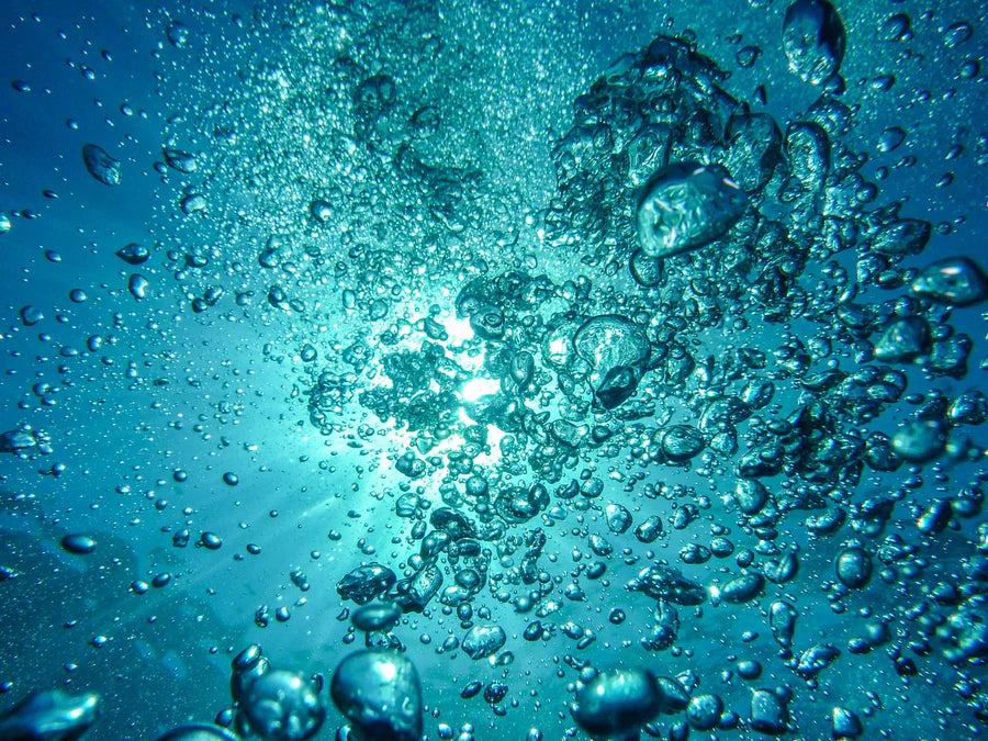 collection-banner-image